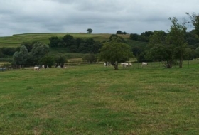 Suances 6081&nbsp;m²