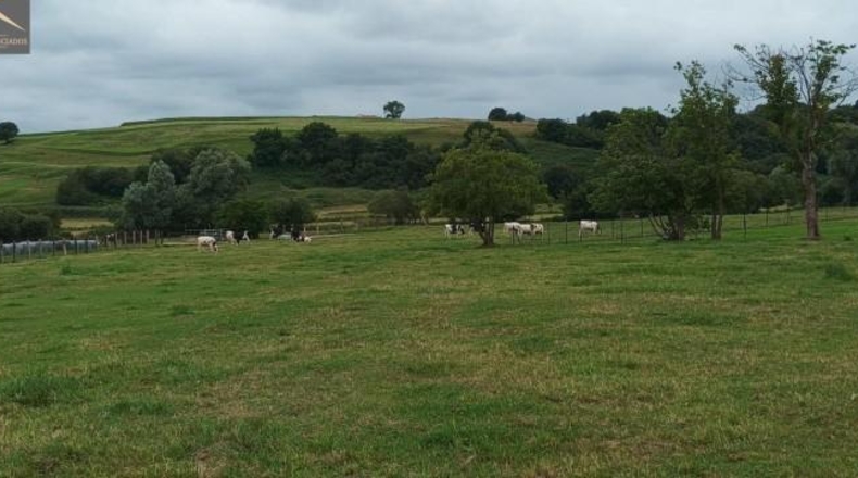 Cantabria - Suances - 6081m2