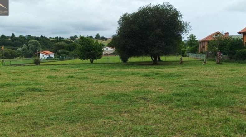 Cantabria - Suances - 6081m2