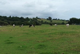 Suances 6081&nbsp;m²