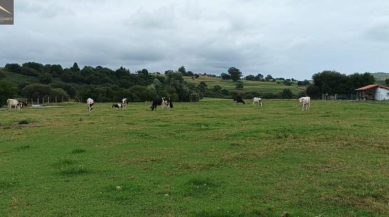 Cantabria - Suances - 6081m2