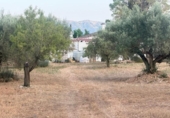 Detached villa with land for sale on España, Roquetes, ref: TR416888 photo