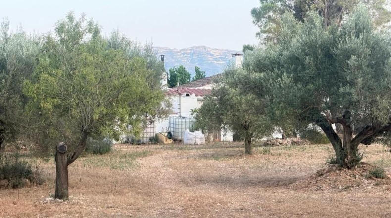 Tarragona - Roquetes - 10700m2