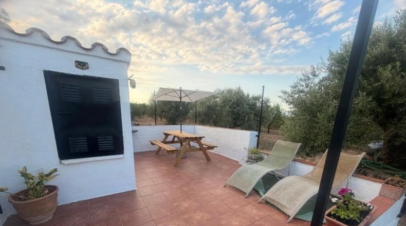 Tarragona - Roquetes - 10700m2