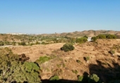 Terreno no urbanizable en venta en la España, Campo-Mijas, ref: TR416893 foto