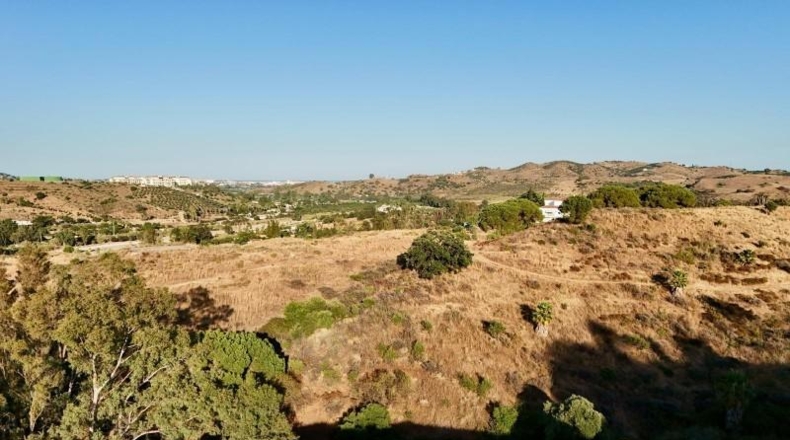 Málaga - Campo-Mijas - 9605m2