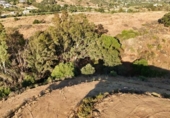 Terreno no urbanizable en venta en la España, Campo-Mijas, ref: TR416893 foto