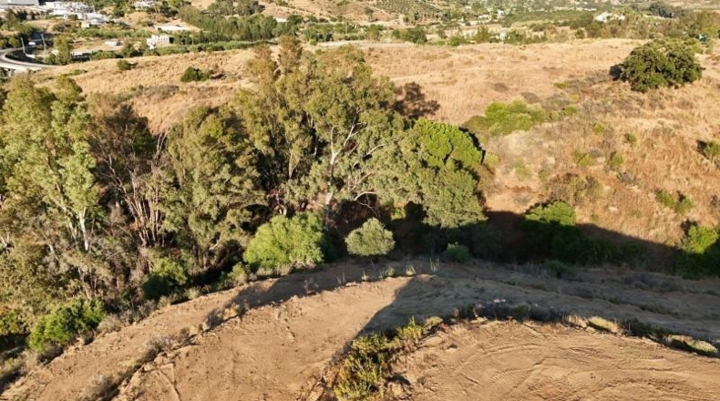 Málaga - Campo-Mijas - 9605m2
