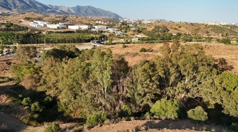 Málaga - Campo-Mijas - 9605m2