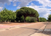 Detached villa with land for sale on España, Viana de Cega, ref: TR416903 photo