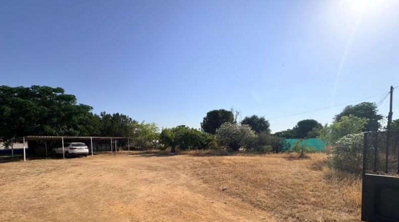 Seville - Sevilla - 216m2