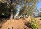 Chalet independiente con terreno en venta en la España, Sevilla, ref: TR416907 foto