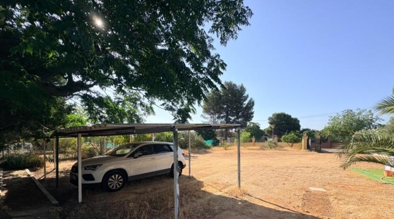 Seville - Sevilla - 216m2
