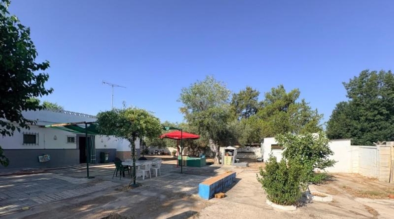Seville - Sevilla - 216m2