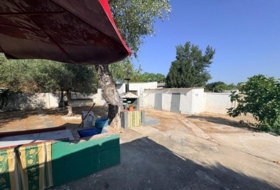 Foto 14