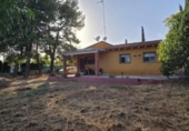 Chalet independiente con terreno en venta en la España, Llíria, ref: TR416918 foto