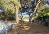 Chalet independiente con terreno en venta en la España, Llíria, ref: TR416918 foto