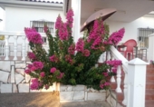 Chalet independiente con terreno en venta en la España, Badajoz, ref: TR416935 foto