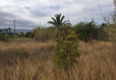Terreno no urbanizable en venta en la España, Murcia, ref: TR248523 foto