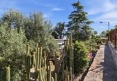 Detached villa with land for sale on España, Villamarchante, ref: TR410354 photo