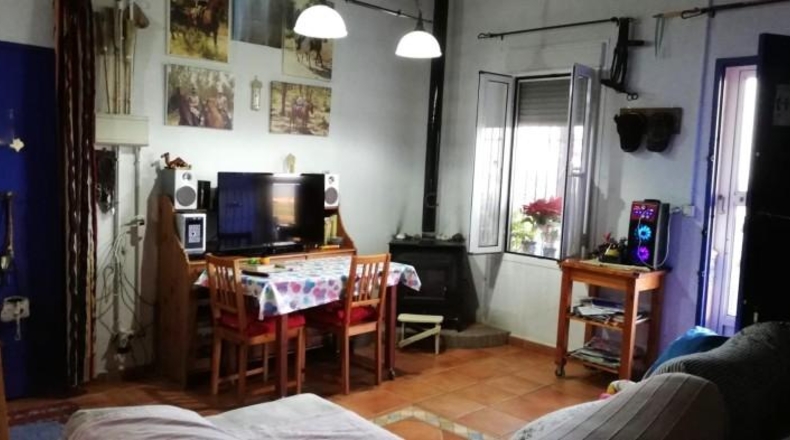 Seville - Villanueva del Río y Minas - 40786m2