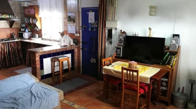 Seville - Villanueva del Río y Minas - 40786m2