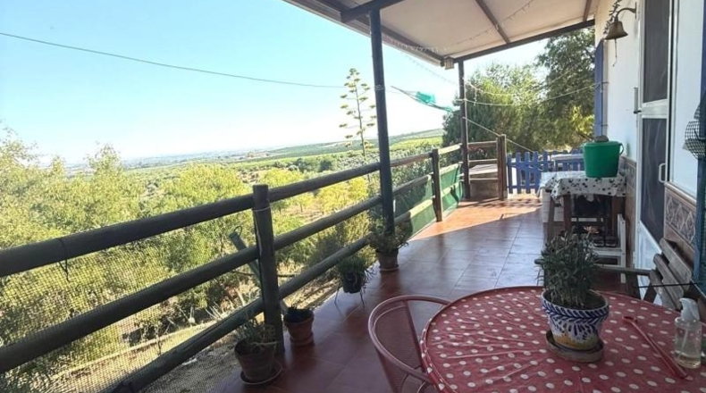 Seville - Villanueva del Río y Minas - 40786m2