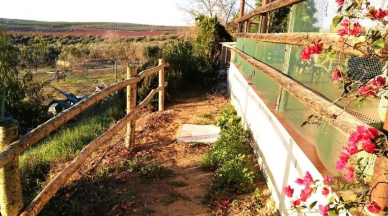 Seville - Villanueva del Río y Minas - 40786m2