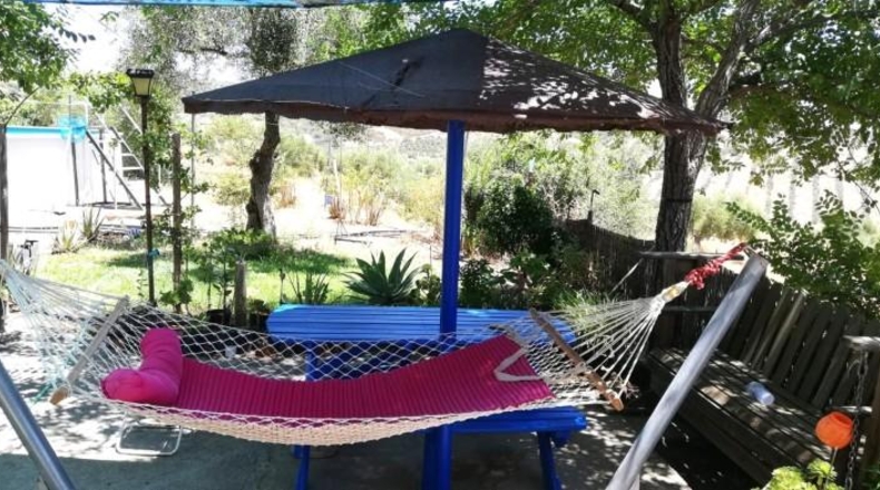 Seville - Villanueva del Río y Minas - 40786m2