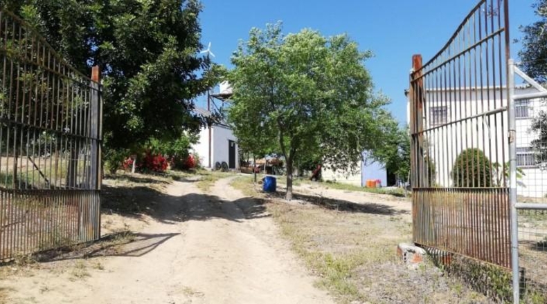 Seville - Villanueva del Río y Minas - 40786m2