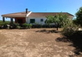 Chalet independiente con terreno en venta en la España, Fuente Álamo, ref: TR416976 foto