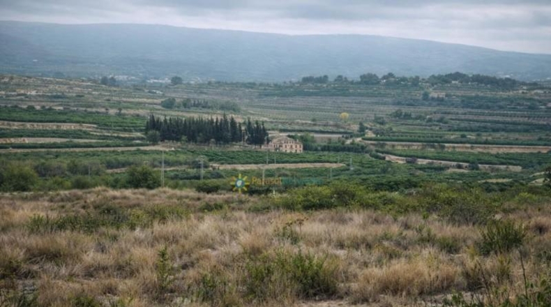 Valencia - Albaida - 241448m2