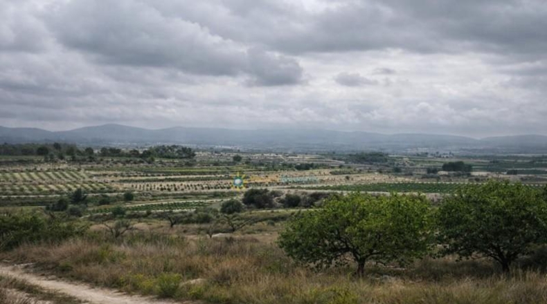 Valencia - Albaida - 241448m2