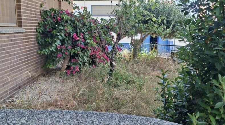 Tarragona - l'Aldea - 500m2