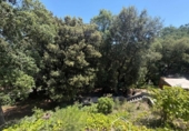 Chalet independiente con terreno en venta en la España, Vallgorguina, ref: TR417011 foto