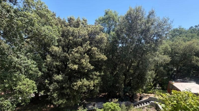 Barcelona - Vallgorguina - 2161m2