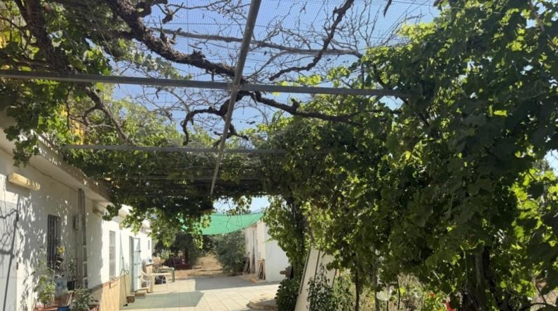 Málaga - Mijas - 3750m2