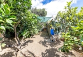 Casa de pueblo en venta en la España, Las Palmas de Gran Canaria, ref: TR417016 foto