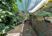 Casa de pueblo en venta en la España, Las Palmas de Gran Canaria, ref: TR417016 foto