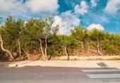 Suelo urbano en venta en la España, Capdepera, ref: TR333639 foto