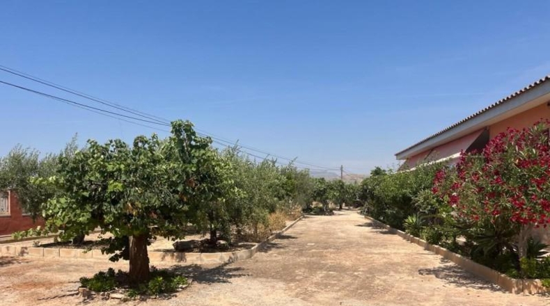 Alicante - Аликанте - 1876m2