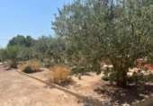 Chalet independiente con terreno en venta en la España, Alicante, ref: TR417024 foto