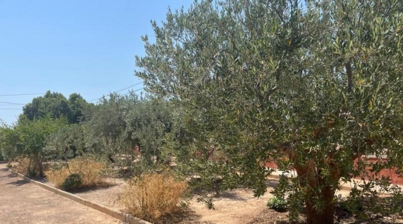 Alicante - Аликанте - 1876m2