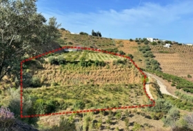 Algarrobo 6000&nbsp;m²
