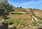 Casa con terreno en venta en la España, Algarrobo, ref: TR417030 foto