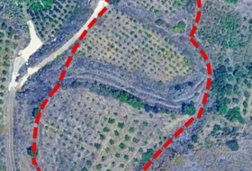 Algarrobo 6000&nbsp;m²