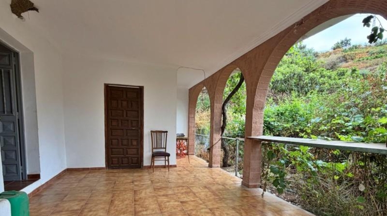 Málaga - Algarrobo - 6000m2