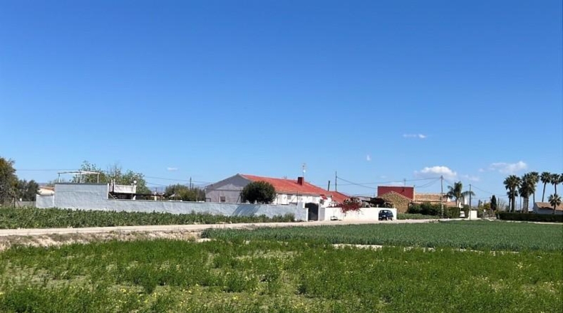 Alicante - Dolores - 1524m2
