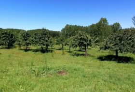 Torre del Bierzo 4067&nbsp;m²