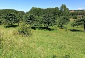 Torre del Bierzo 4067&nbsp;m²